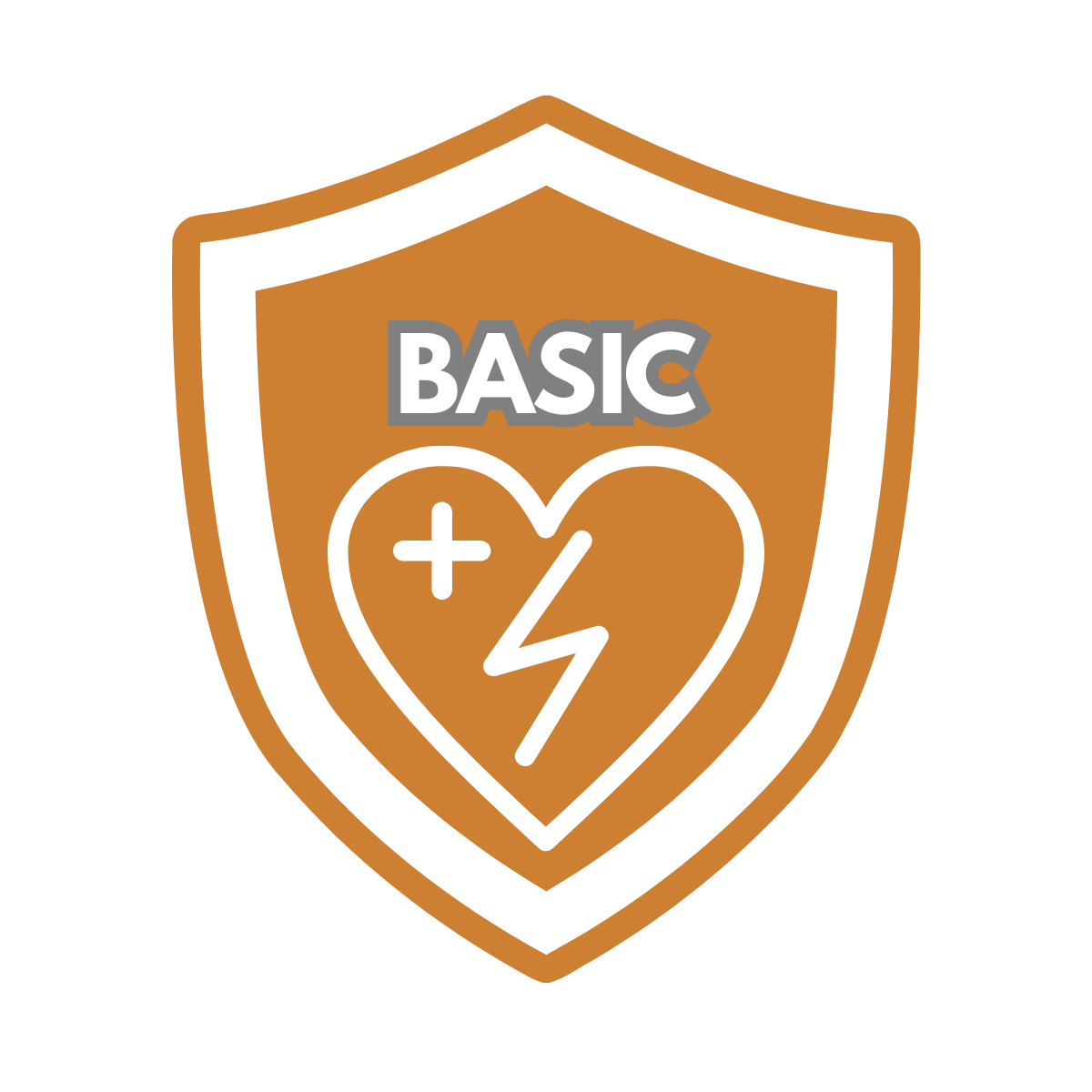 AED Wartung Basic