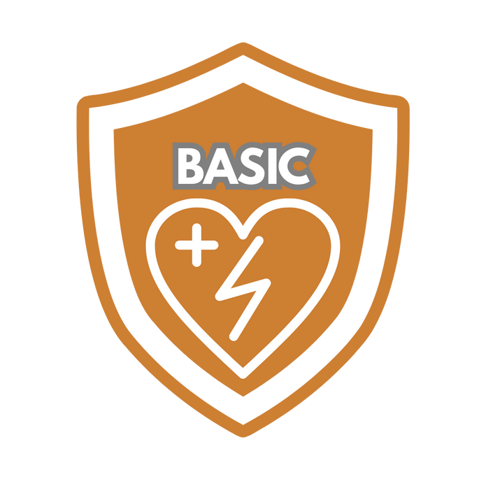 AED Wartung Basic