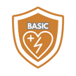 AED Wartung Basic