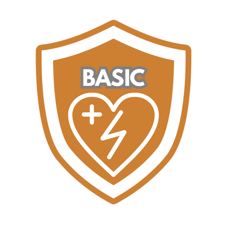 AED Wartung Basic