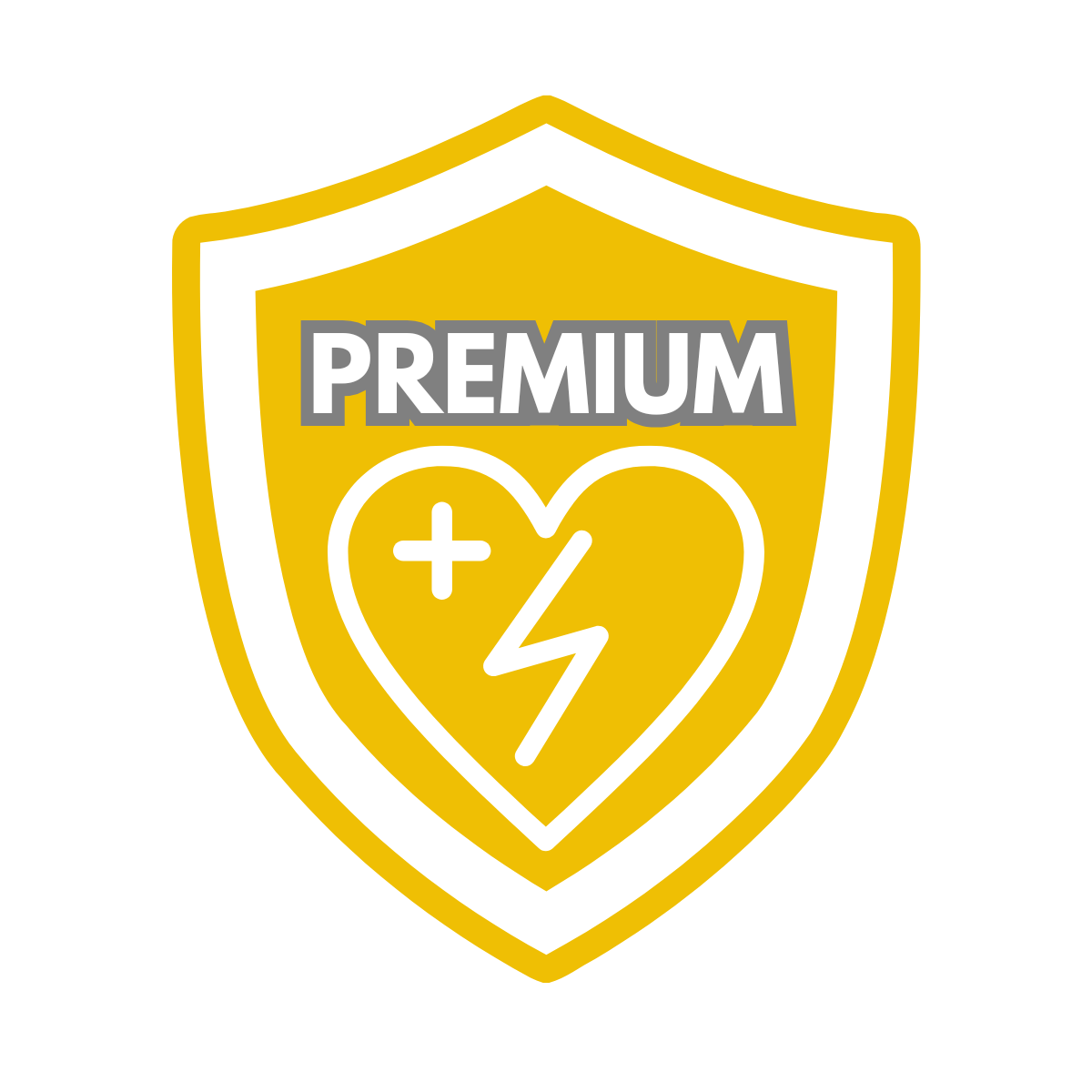 AED Wartung Premium