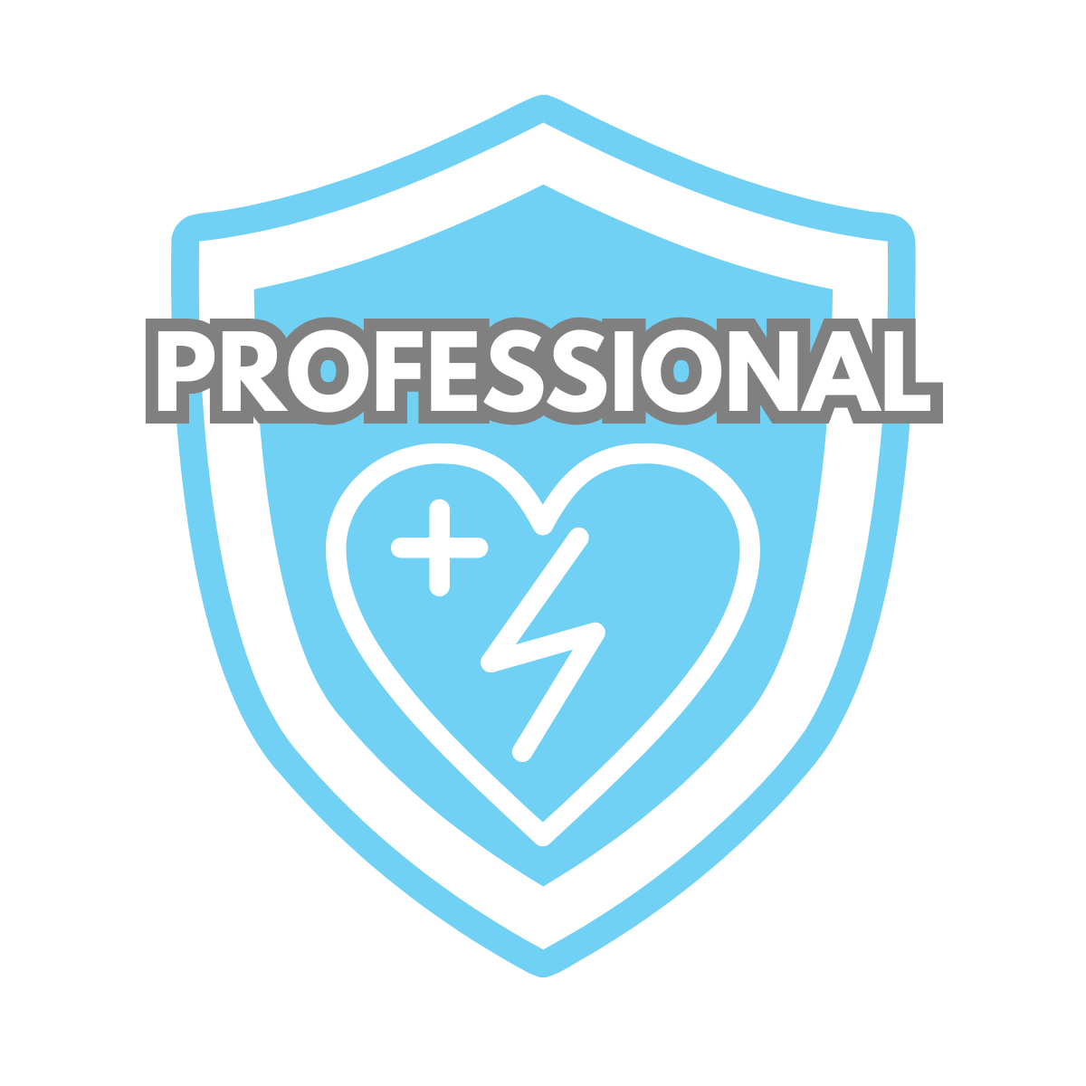 AED Wartung Professional